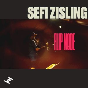 Flip Mode (Single)