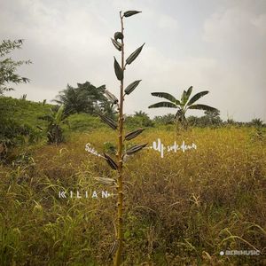 Up Side Down (Single)