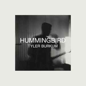 Hummingbird (Single)