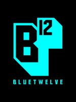 BlueTwelve Studio