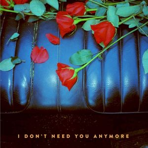 I Don't Need You Anymore (Single)