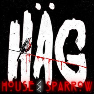 House Sparrow (Single)