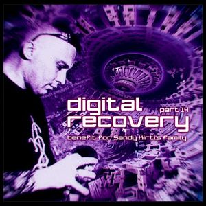 Digital Recovery, Part 14