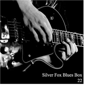 Silver Fox Blues Box 22