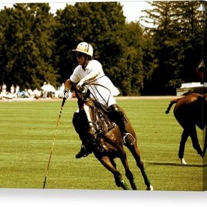 Polo Dolo feat. swnsn (prod. Yung Indigo) (Single)