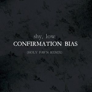 Confirmation Bias (Holy Fawn Remix)