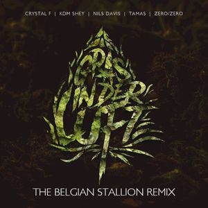 Gras in der Luft (The Belgian Stallion Remix)