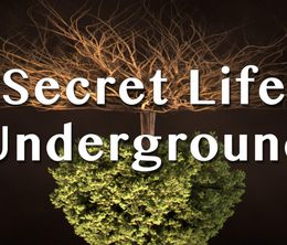 image-https://media.senscritique.com/media/000020771362/0/secret_life_underground.jpg