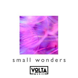 Small Wonders