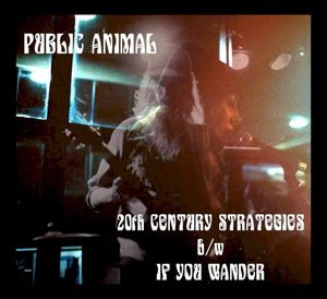 20th Century Strategies b/w If You Wander (Single)