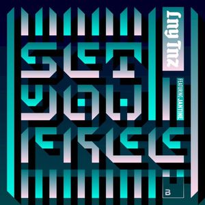 Set You Free (Single)