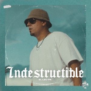 Indestructible (Single)