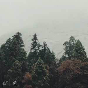 rest (Single)