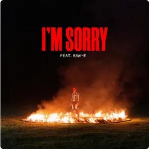 I'm Sorry (Single)