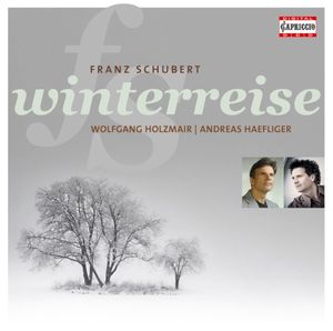 Winterreise, Op. 89, D. 911: No. V. Der Lindenbaum