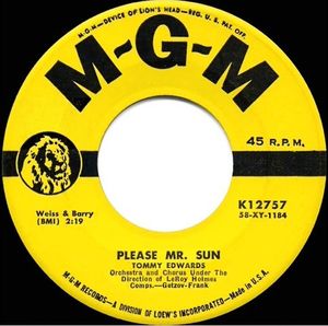 Please Mr. Sun / The Morning Side of the Mountain (Single)