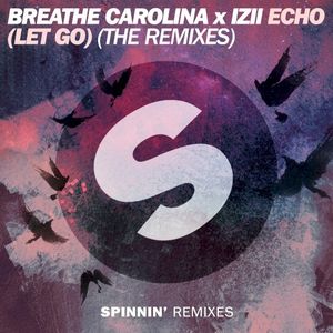 ECHO (LET GO) (Retrohandz remix)