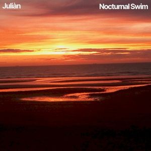 Nocturnal Swim