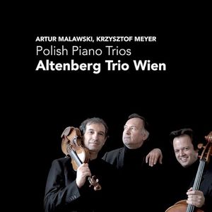 Piano Trio, op. 50: II. Adagio inquieto