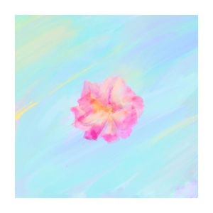 tea rose (Single)