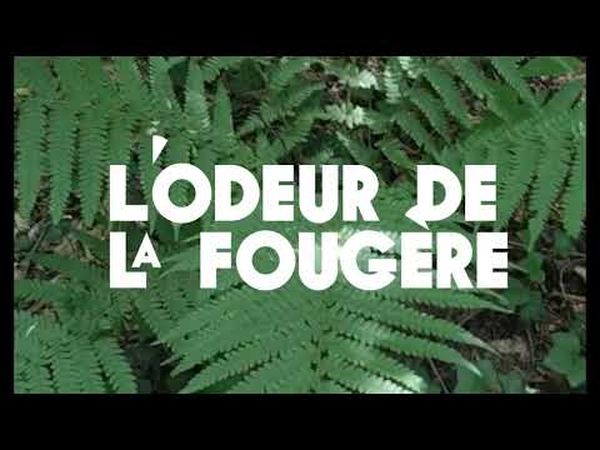 L'Odeur de la fougère