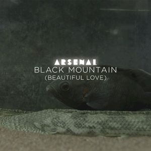 Black Mountain (Beautiful Love) (Single)