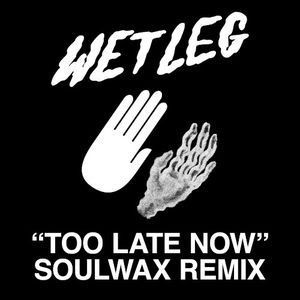 Too Late Now (Soulwax remix)