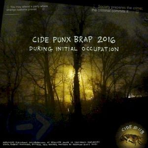 2016 During Initial Occupation