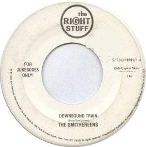 Downbound Train / My Beautiful Reward (Single)