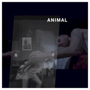 Animal (radio version)