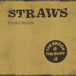 Straws (acoustic)
