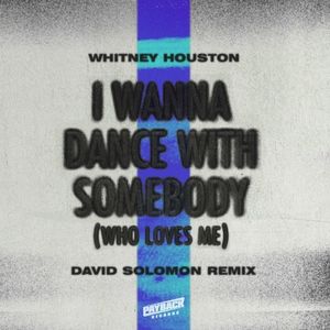 I Wanna Dance With Somebody (Who Loves Me) [David Solomon remix]
