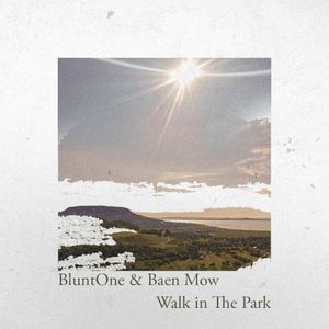 Walk in the Park (Single)