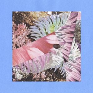 Corals (Single)