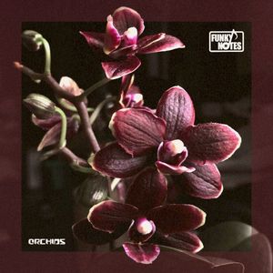 Orchids (Single)