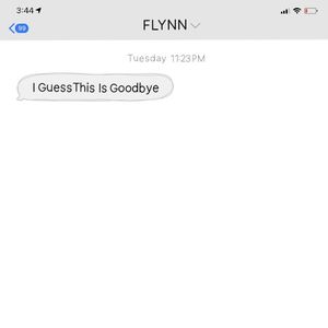 I Guess This Is Goodbye (Single)
