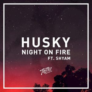 Night on Fire (Single)