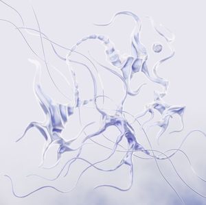 transient bliss (Single)