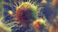 Giant Viruses Blur The Line Between Alive and Not