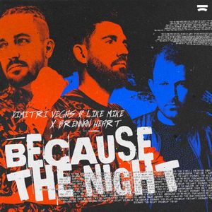 Because the Night (Single)