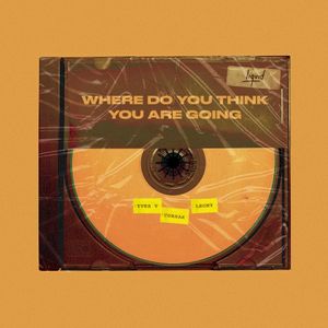 Where Do You Think You Are Going (Single)