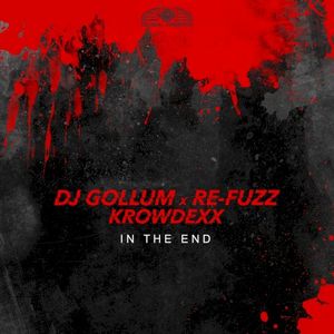 In the End (Extended Mix) (Single)