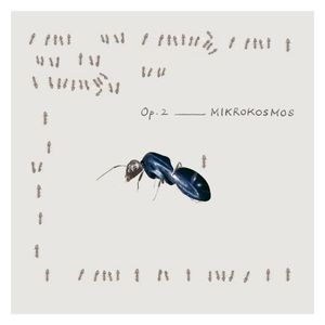 月一交響曲 Op.2「MIKROKOSMOS(ミクロコスモス)」 (EP)