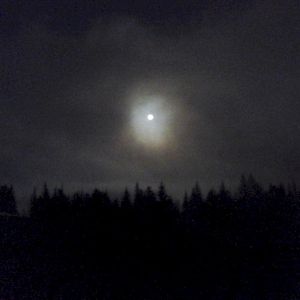 Coldy
