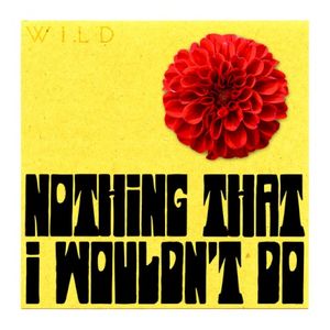 Nothing That I Wouldn't Do (Single)