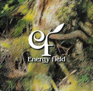 Energy field