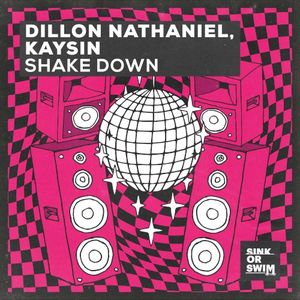 Shake Down (Single)