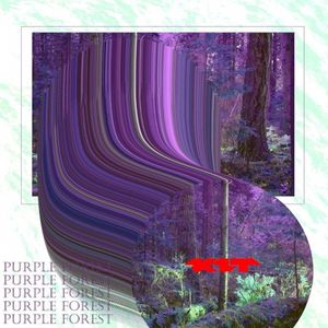 Purple Forest (Single)