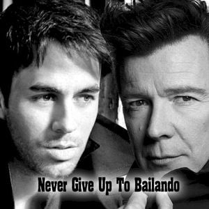 Never Give Up to Bailando (Enrique Iglesias vs. Rick Astley) (Single)