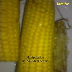 Manipulation of Individual Atoms (Single)